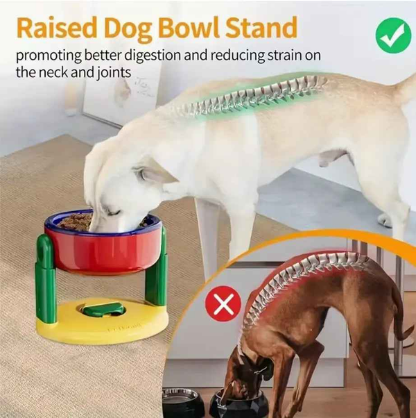 Comedero Elevado Ergonómico para Perros de Colores