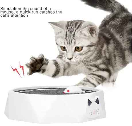 Tocadiscos Eléctrico para Gato: Diversión Musical para tu Mascota