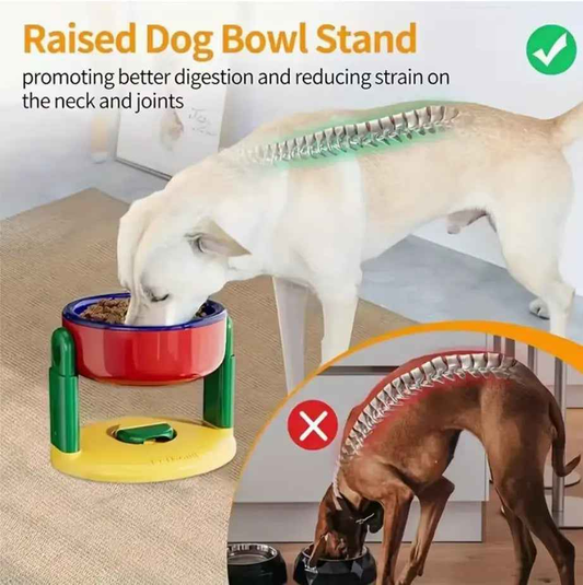 Comedero Elevado Ergonómico para Perros de Colores - Comedero Ergonómico para Perros Ideal