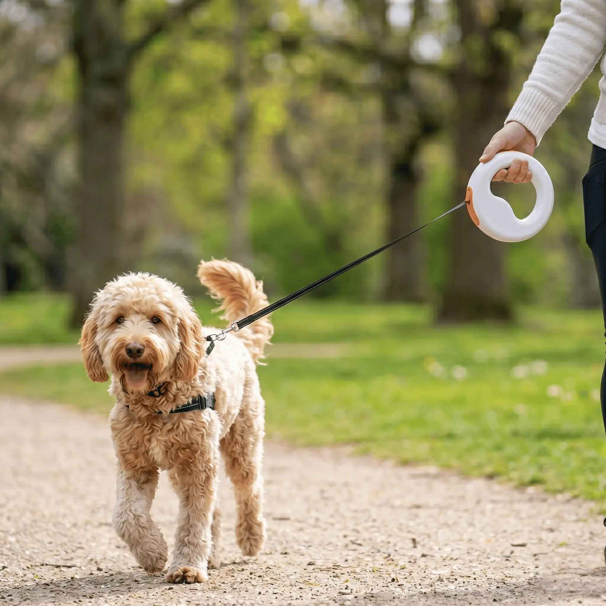 Correa Retráctil de Muñeca Manos Libres para Perros