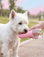 Botella Bebedero Portátil para Perros y Gatos 500ml