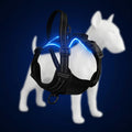 Arnés LED recargable para perros iluminación ajustable paseos nocturnos seguros, tallas S M L, Chile