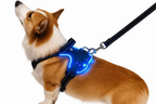 Arnés LED de Seguridad para Perros Recargable