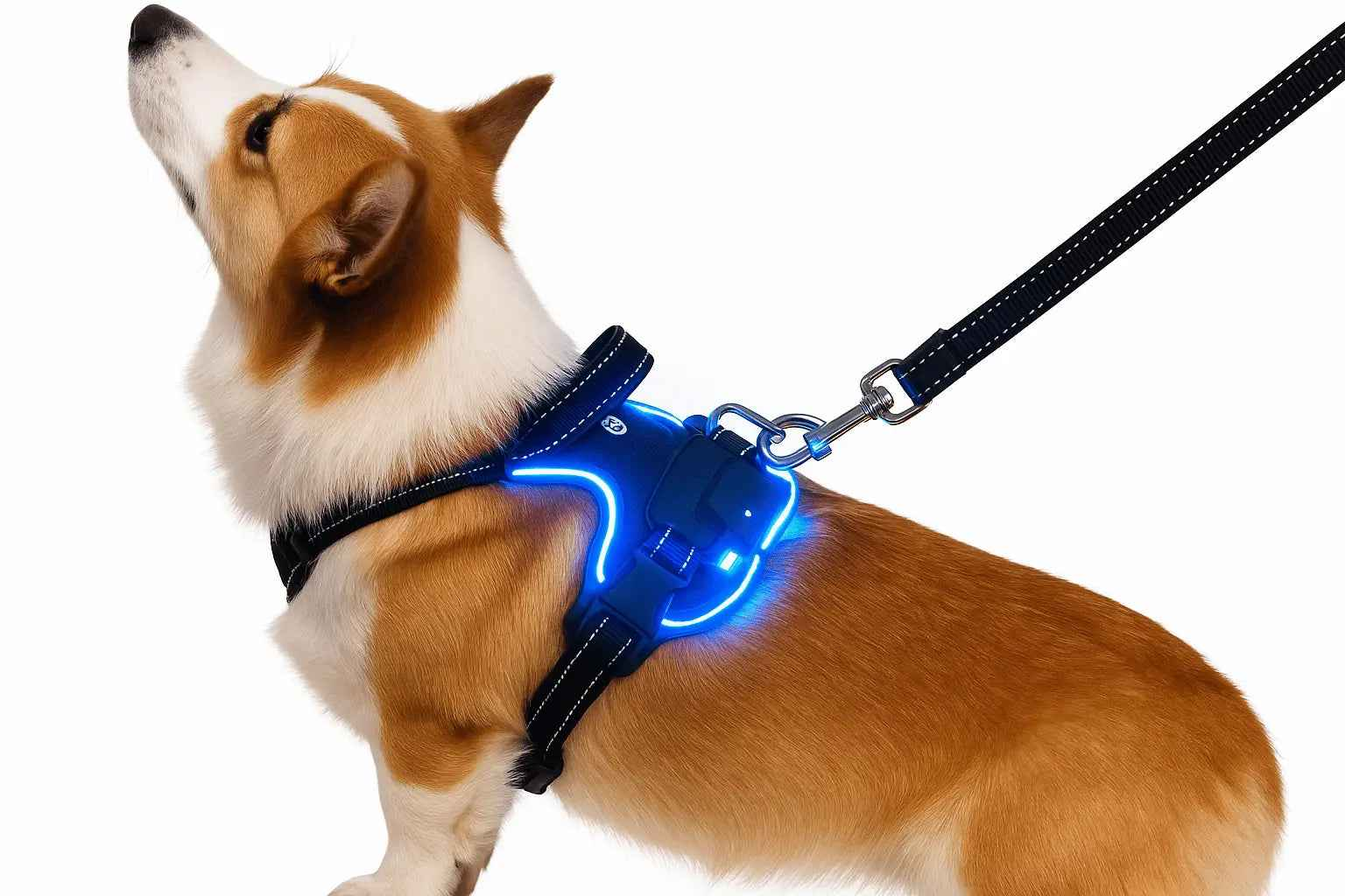 Arnés LED de Seguridad para Perros Recargable