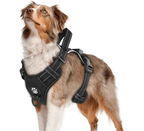 Arnés LED de Seguridad para Perros Recargable