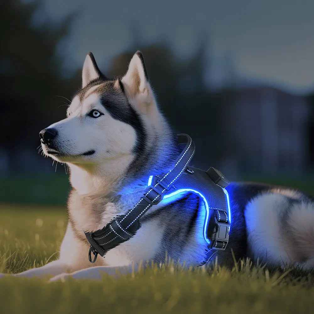 Arnés LED de Seguridad para Perros Recargable