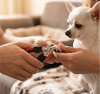 Cortaúñas Profesional para Perros y Gatos con Seguro - Mascota Querida