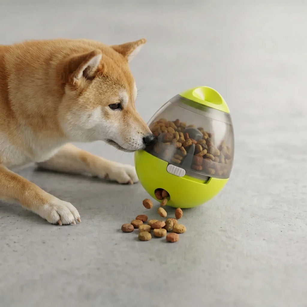 Perro jugando huevo dispensador comida interactivo suelta croquetas estimula mente Chile