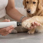 Limador de uñas eléctrico e inalámbrico para perros que garantiza un cuidado seguro, rápido y sin dolor.