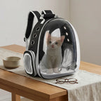 Mochila cápsula para perros y gatos pequeños – ventilación y base desmontable, tienda mascotas Chile